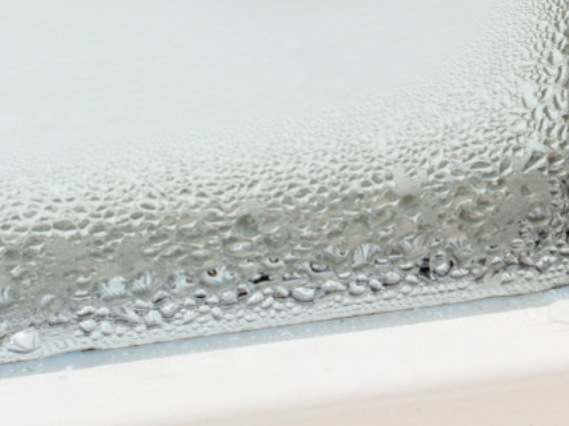 Comment gérer le niveau d'humidité dans son intérieur ?