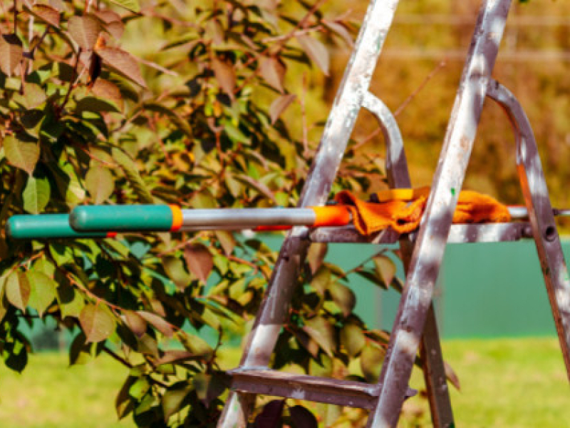 Utiliser un escabeau ou une échelle en automne
