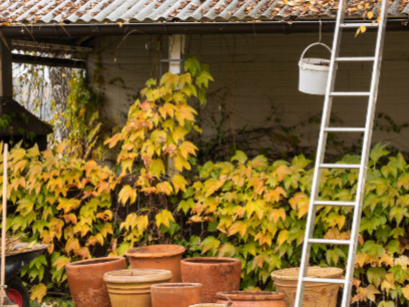 5 bonnes raisons d’utiliser un escabeau pour les petits travaux d’automne