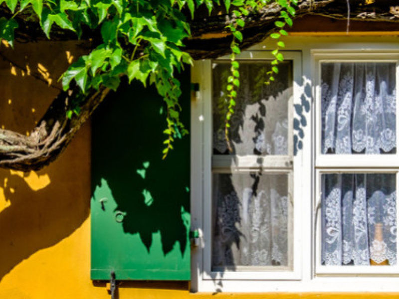 Canicule : comment protéger efficacement sa maison et son jardin ?