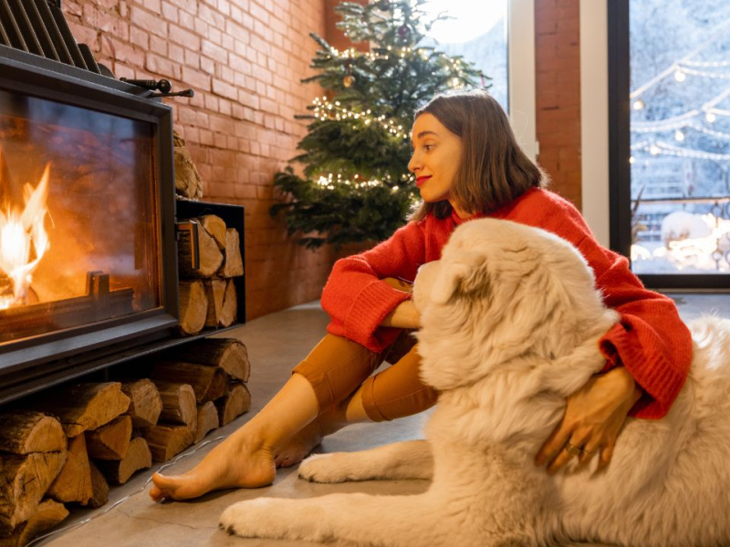 Comment bien choisir son serviteur de cheminée ?
