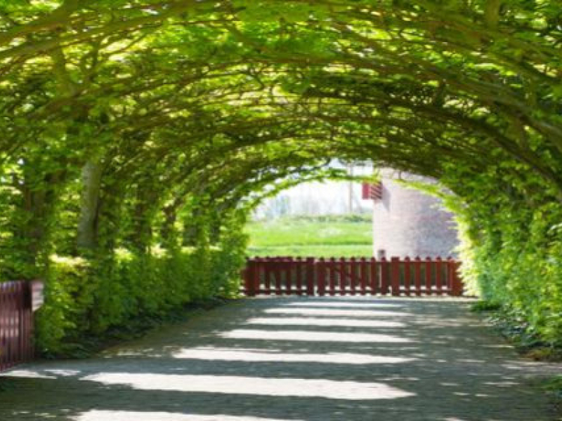 Arche de jardin : 7 idées pour la mettre en valeur toute l’année