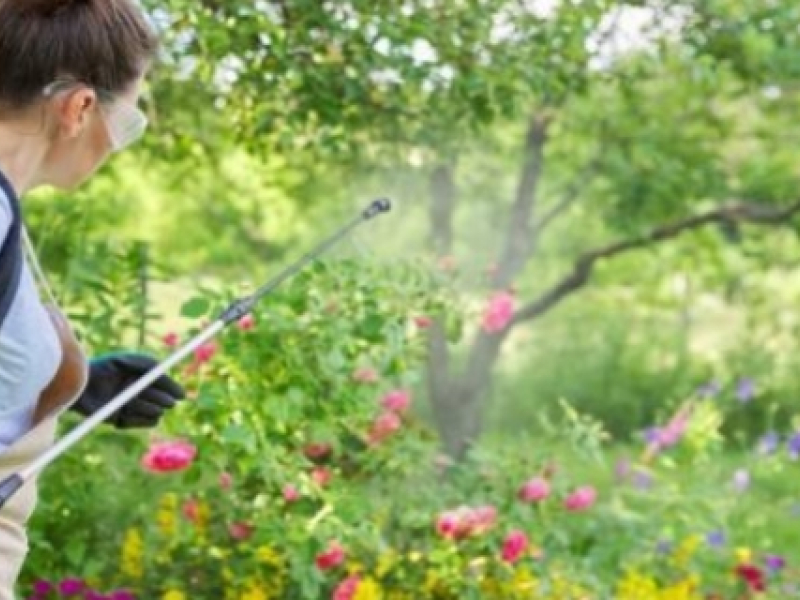 À quoi sert un pulvérisateur de jardin ?