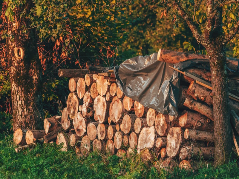 Bâche pour bois de chauffage : garder son stock au sec sans piéger l'humidité