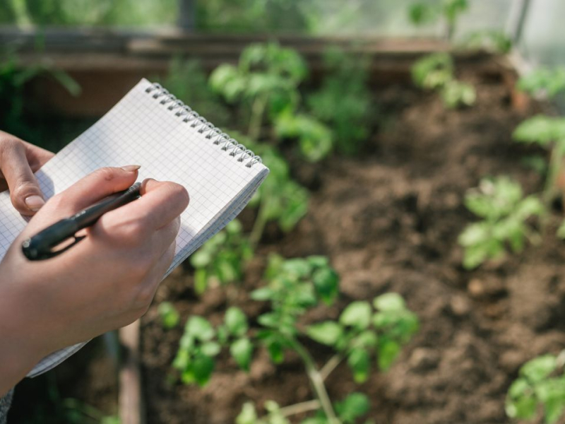 Planifier son potager pour l’année à venir