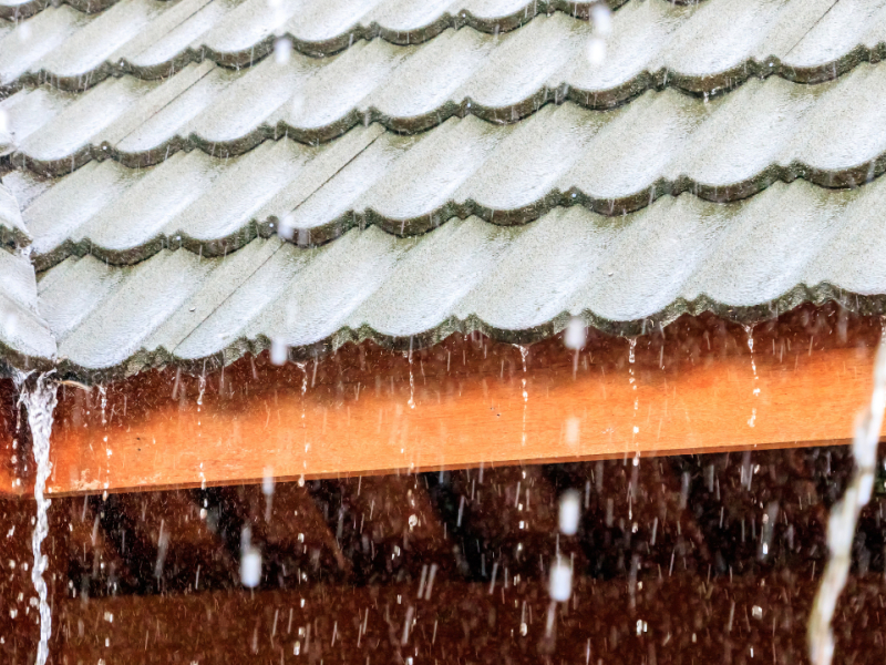 Comment utiliser l'eau de pluie ?