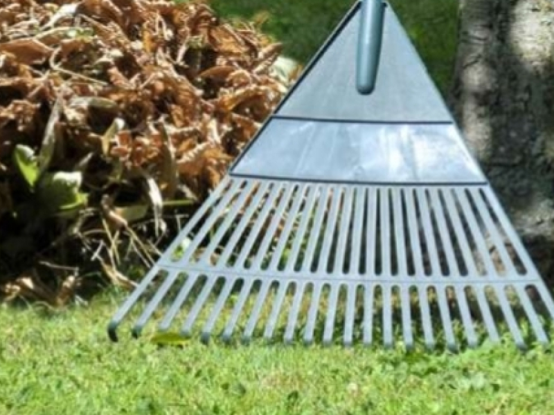 Comment bien entretenir sa pelouse ?