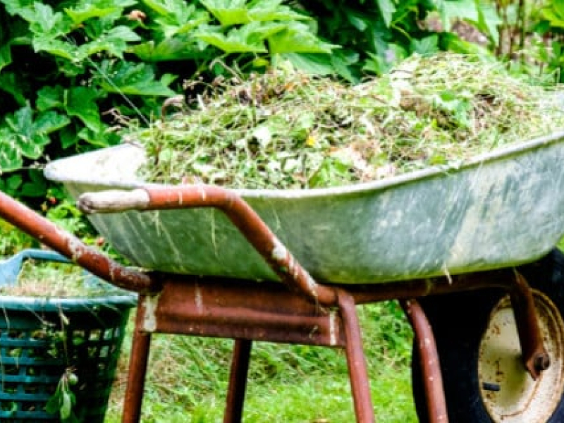 Solutions alternatives à incinérateur de jardin : que faire des déchets verts ?