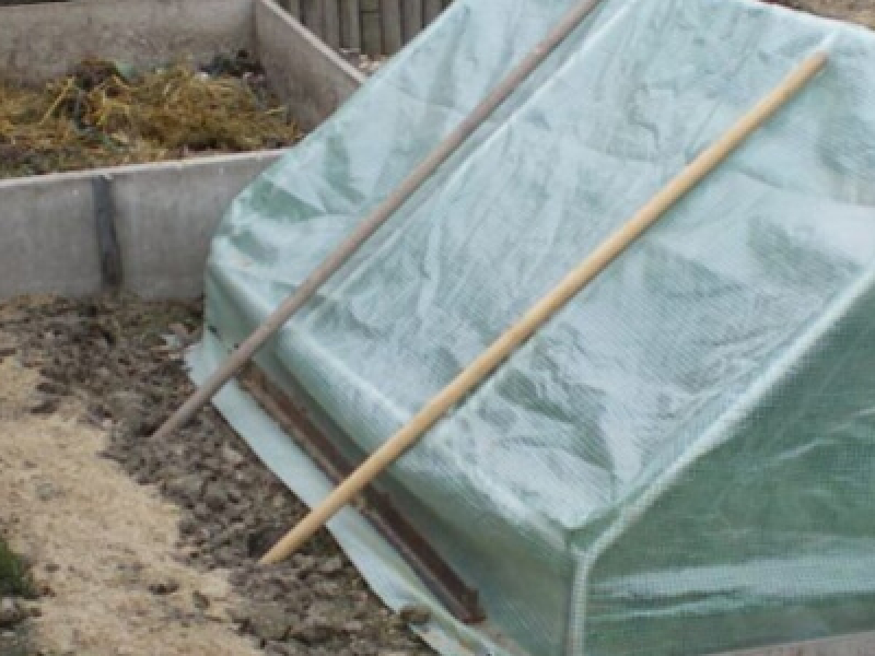 Comment faire un bon compost ?