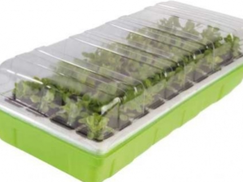 Comment utiliser un kit de germination ?