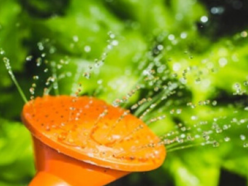 Comment choisir son tuyau d'arrosage ?