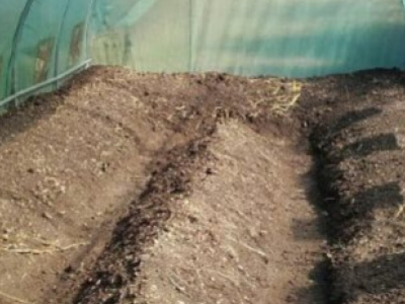 Permaculture et serre de jardin sont-ils compatibles?