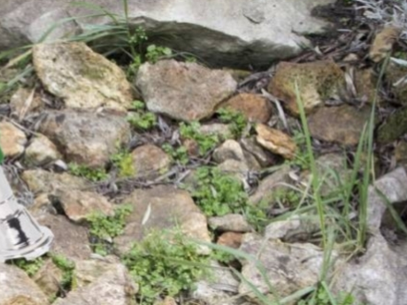 Comment fonctionne un désherbeur électrique ?