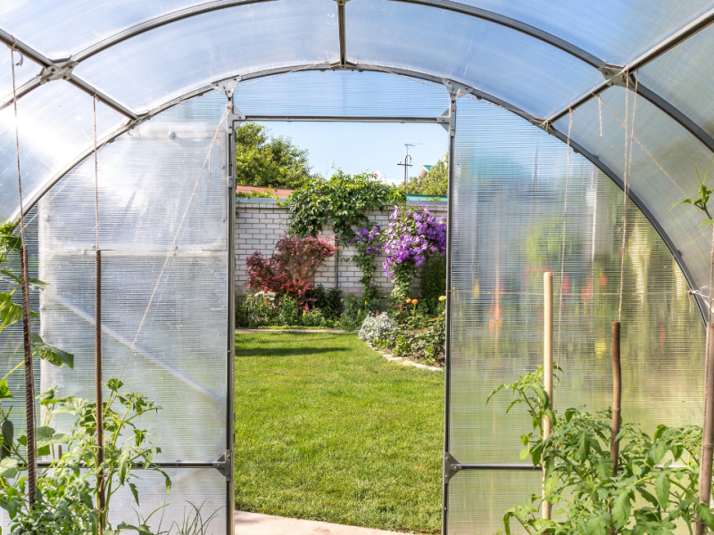 Comment cultiver sous serre ?