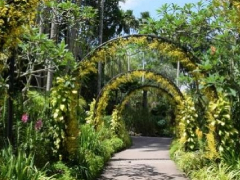Pourquoi installer une arche de jardin ?