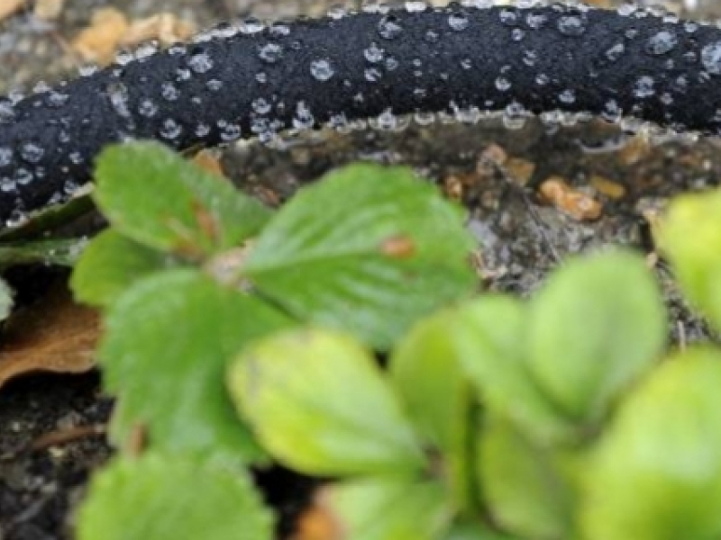 Comment installer un tuyau d'arrosage poreux ?