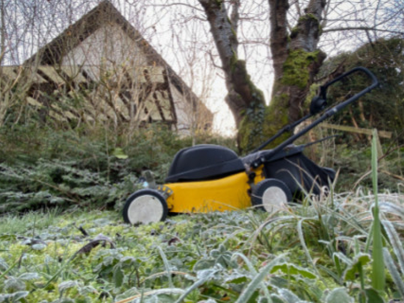 Faut-il tondre sa pelouse une dernière fois avant l’hiver ?