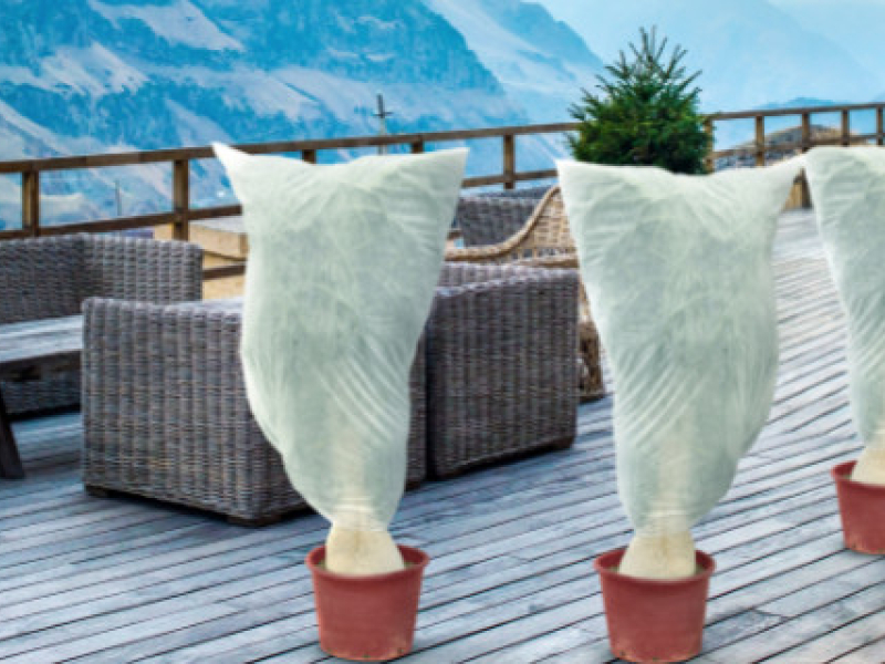 Pourquoi protéger ses plantes avec une housse hivernage ?