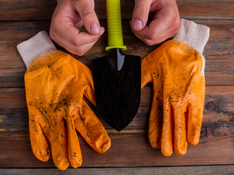 Comment choisir ses gants de jardinage ?