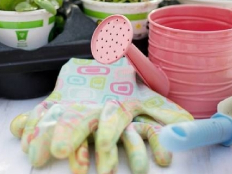 Quels sont les outils de jardinage indispensables ?