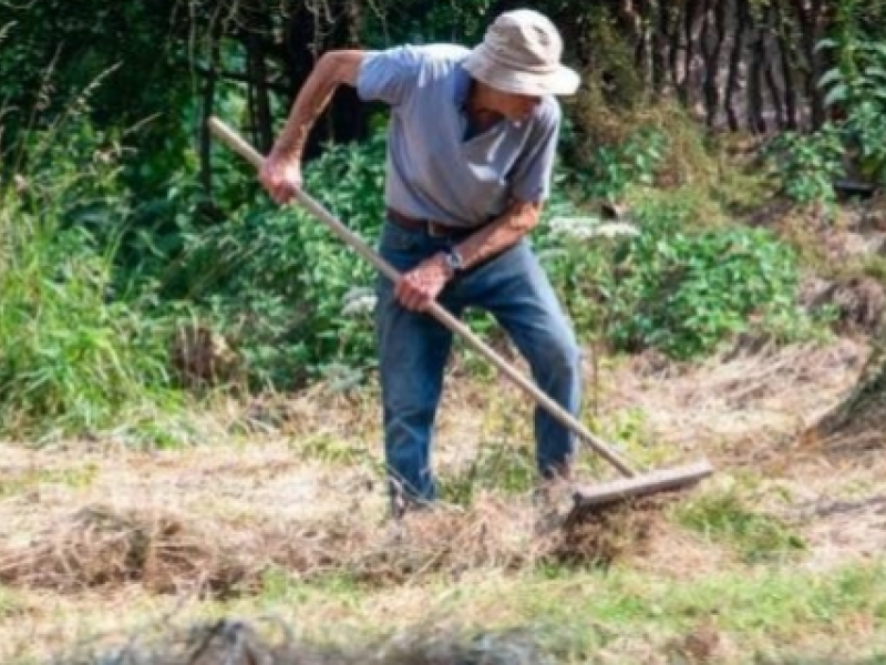 Quels sont les outils de jardinage indispensables pour ameublir la terre ?