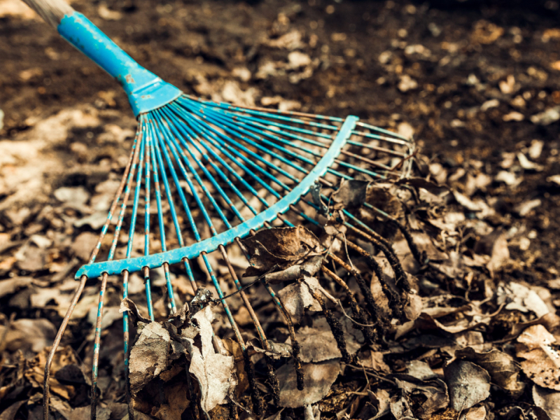 Quel outillage jardin choisir pour entretenir ses espaces verts ?