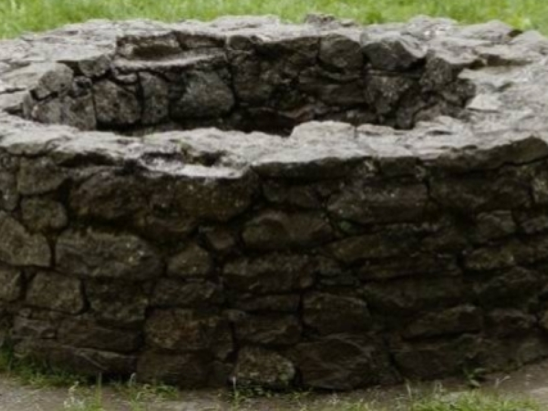 Quelle pompe de jardin utiliser pour pomper l'eau d'un puits ?